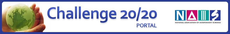 Challenge 20/20